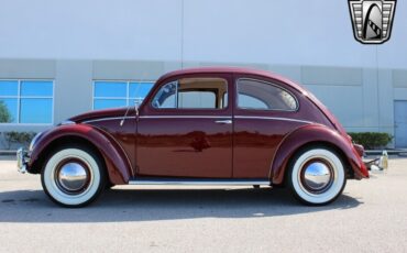 Volkswagen-Beetle-Classic-Coupe-1959-Burgandy-Red-66533-3