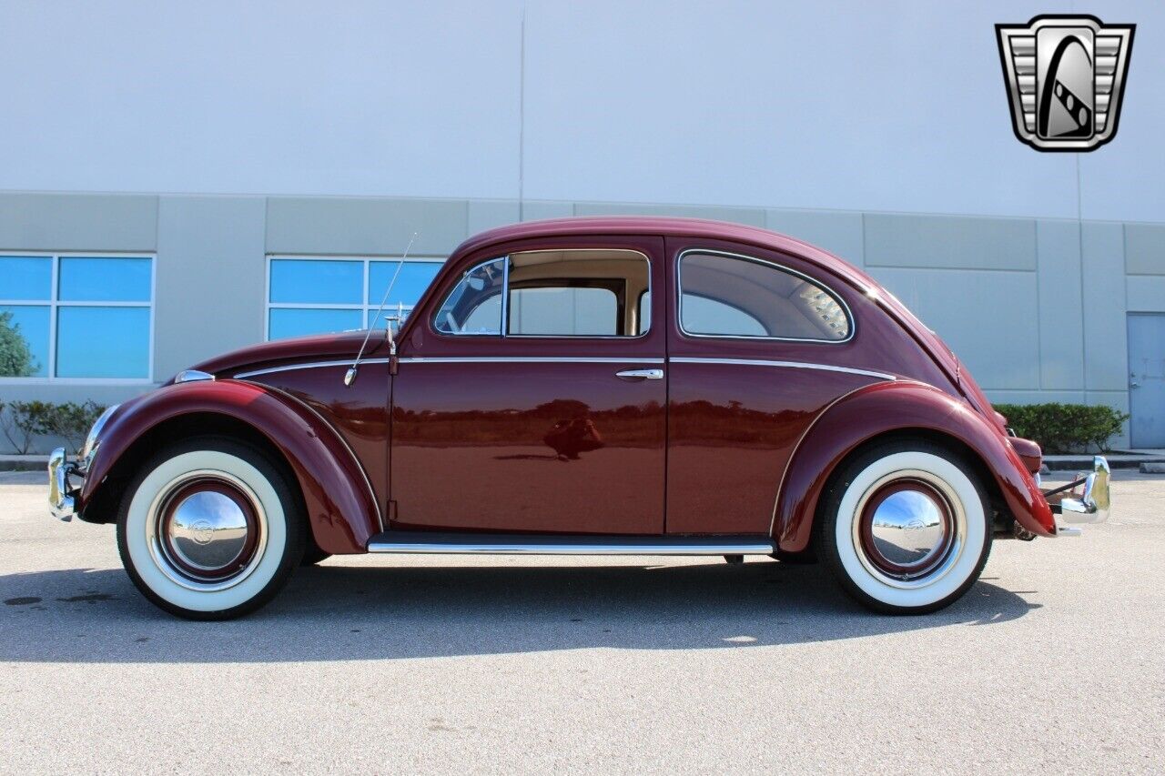 Volkswagen-Beetle-Classic-Coupe-1959-Burgandy-Red-66533-3