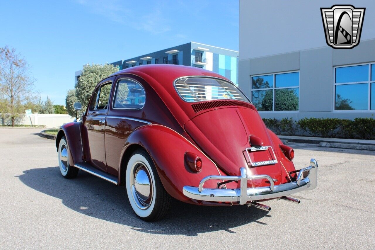 Volkswagen-Beetle-Classic-Coupe-1959-Burgandy-Red-66533-4