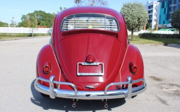 Volkswagen-Beetle-Classic-Coupe-1959-Burgandy-Red-66533-5