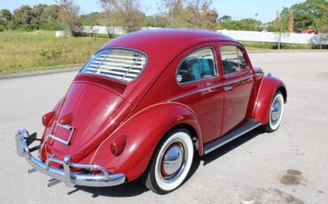 Volkswagen-Beetle-Classic-Coupe-1959-Burgandy-Red-66533-6