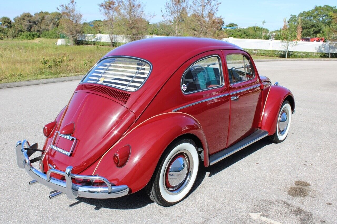 Volkswagen-Beetle-Classic-Coupe-1959-Burgandy-Red-66533-6