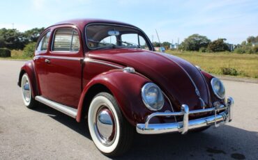 Volkswagen-Beetle-Classic-Coupe-1959-Burgandy-Red-66533-7