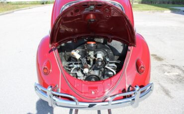 Volkswagen-Beetle-Classic-Coupe-1959-Burgandy-Red-66533-8