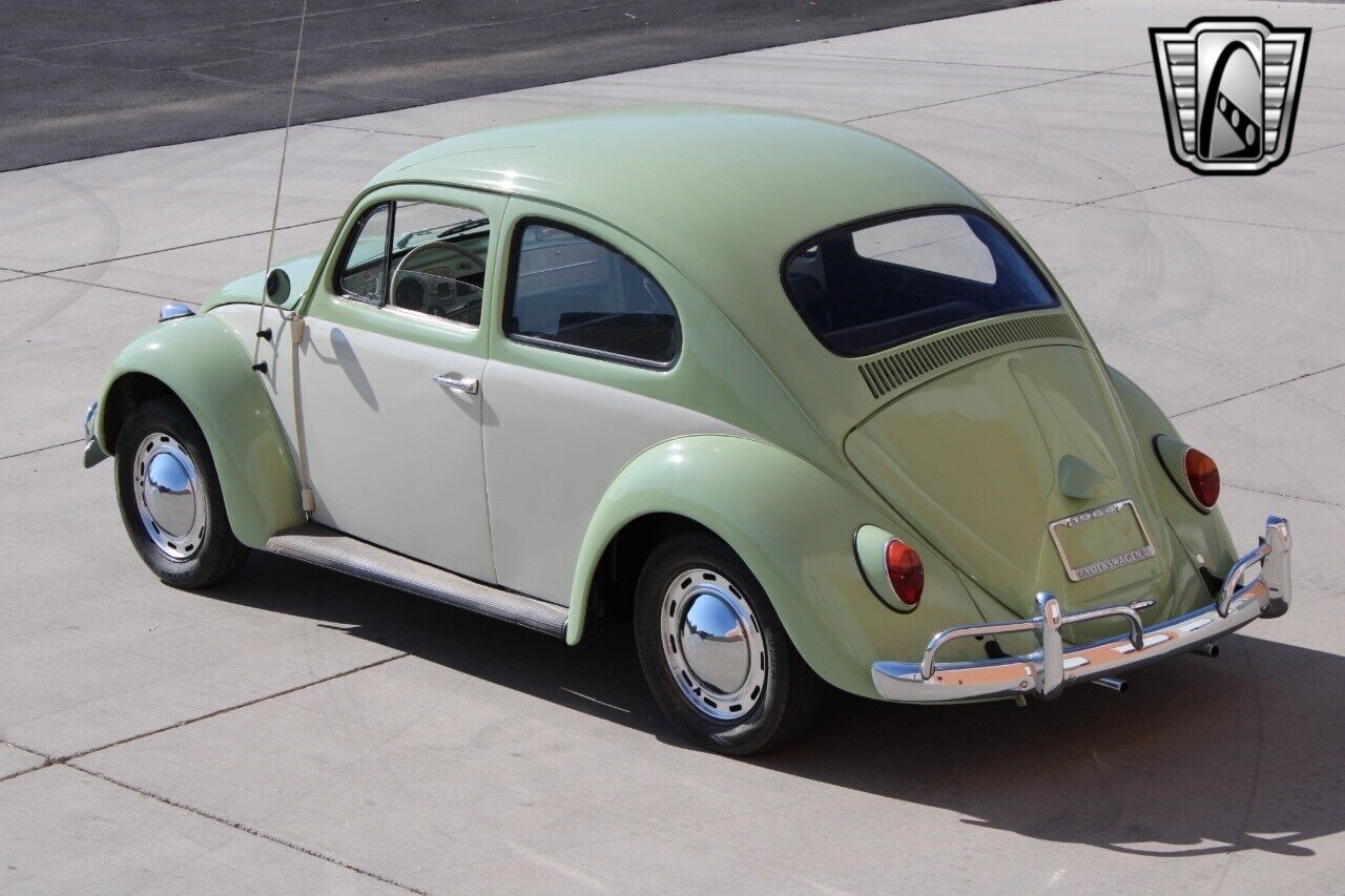 Volkswagen-Beetle-Classic-Coupe-1964-Green-Black-148555-10