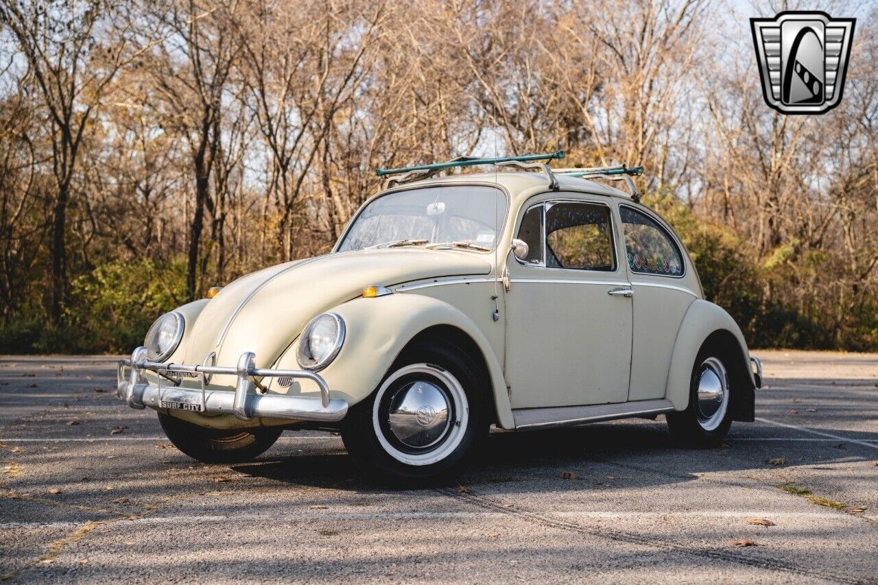 Volkswagen-Beetle-Classic-Coupe-1965-Tan-Brown-147350-2