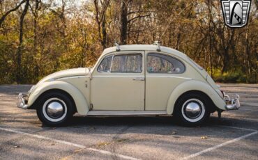 Volkswagen-Beetle-Classic-Coupe-1965-Tan-Brown-147350-3