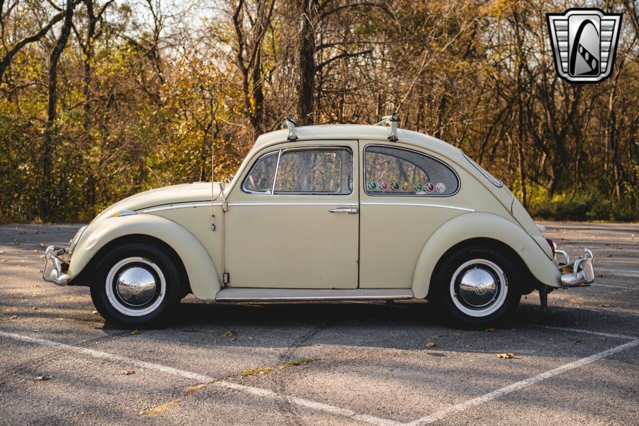 Volkswagen-Beetle-Classic-Coupe-1965-Tan-Brown-147350-3