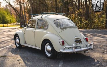 Volkswagen-Beetle-Classic-Coupe-1965-Tan-Brown-147350-4