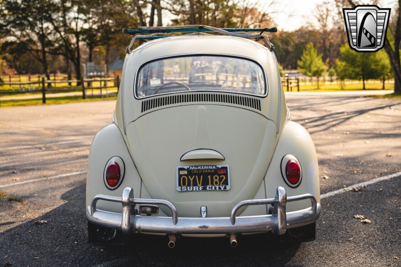 Volkswagen-Beetle-Classic-Coupe-1965-Tan-Brown-147350-5