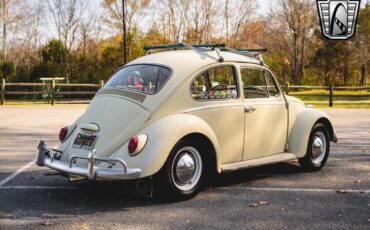 Volkswagen-Beetle-Classic-Coupe-1965-Tan-Brown-147350-6