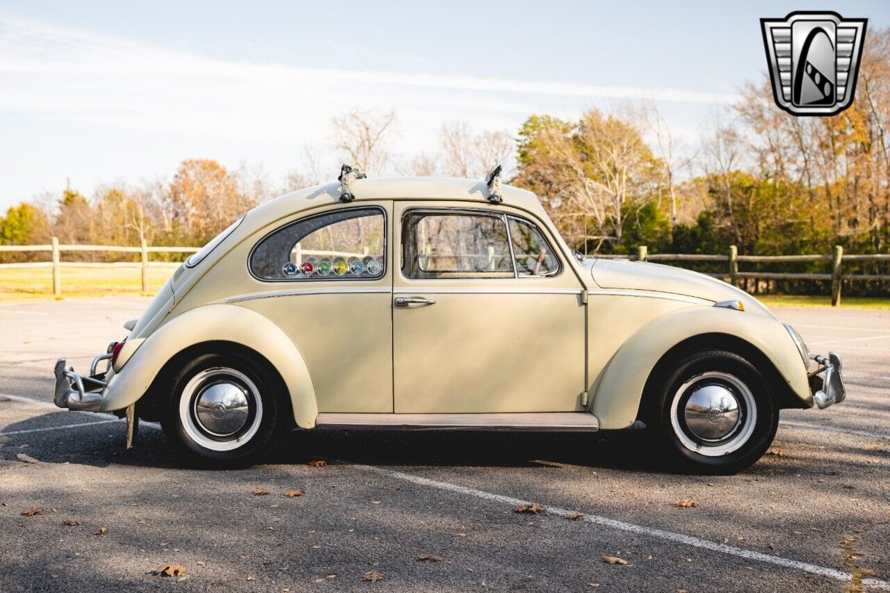 Volkswagen-Beetle-Classic-Coupe-1965-Tan-Brown-147350-7