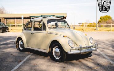 Volkswagen-Beetle-Classic-Coupe-1965-Tan-Brown-147350-8