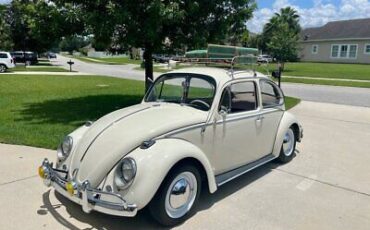 Volkswagen Beetle - Classic Coupe 1965