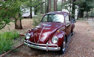 Volkswagen-Beetle-Classic-Coupe-1967-Burgundy-Burgundy-0-2