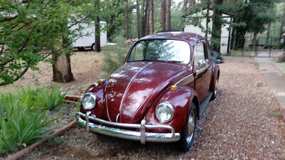 Volkswagen-Beetle-Classic-Coupe-1967-Burgundy-Burgundy-0-2