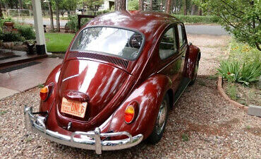 Volkswagen-Beetle-Classic-Coupe-1967-Burgundy-Burgundy-0-3