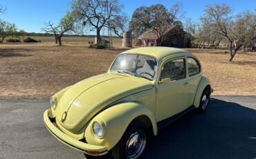 Volkswagen Beetle - Classic  year1}