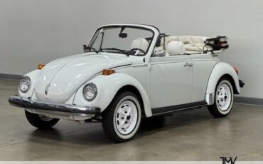 Volkswagen Beetle-New  1979