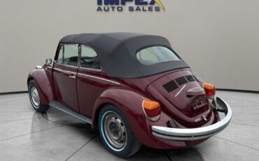 Volkswagen-Beetle-New-Cabriolet-1975-Black-58440-2