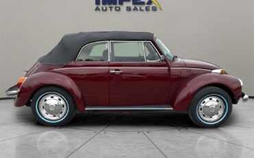 Volkswagen-Beetle-New-Cabriolet-1975-Black-58440-5