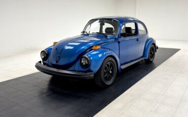 Volkswagen Beetle-New  year1}