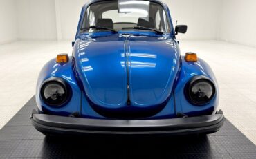 Volkswagen-Beetle-New-Coupe-1974-Blue-Black-82392-7