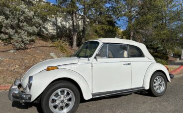 Volkswagen-Beetle-convertible-1977-125529-1