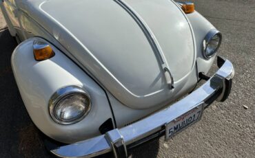 Volkswagen-Beetle-convertible-1977-125529-10