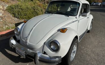 Volkswagen-Beetle-convertible-1977-125529