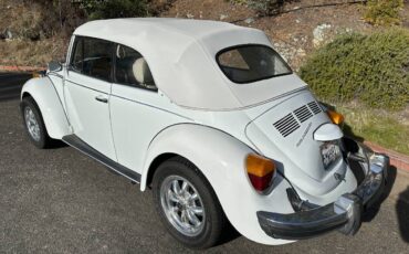 Volkswagen-Beetle-convertible-1977-125529-4