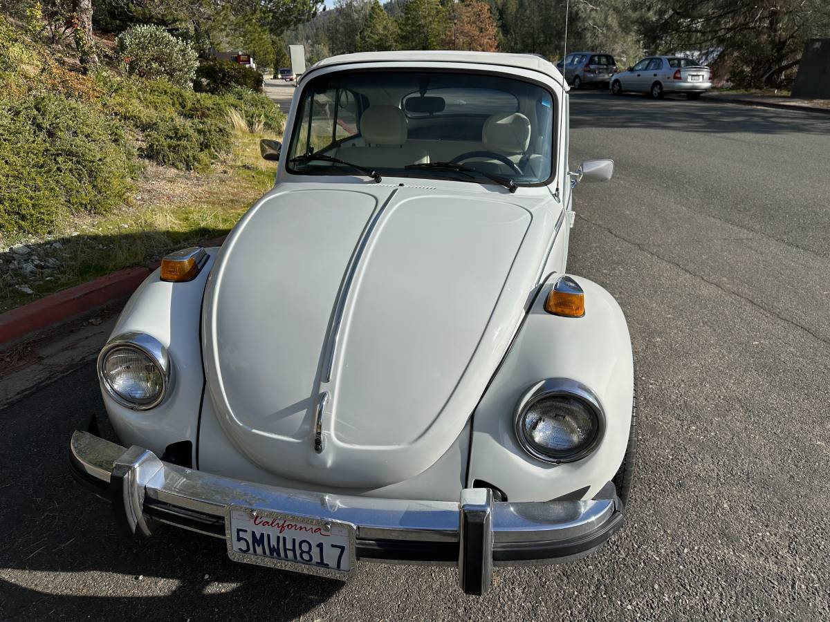 Volkswagen-Beetle-convertible-1977-125529-5