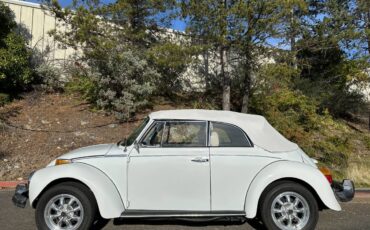 Volkswagen-Beetle-convertible-1977-125529-6