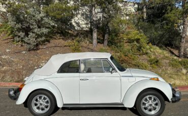 Volkswagen-Beetle-convertible-1977-125529-7