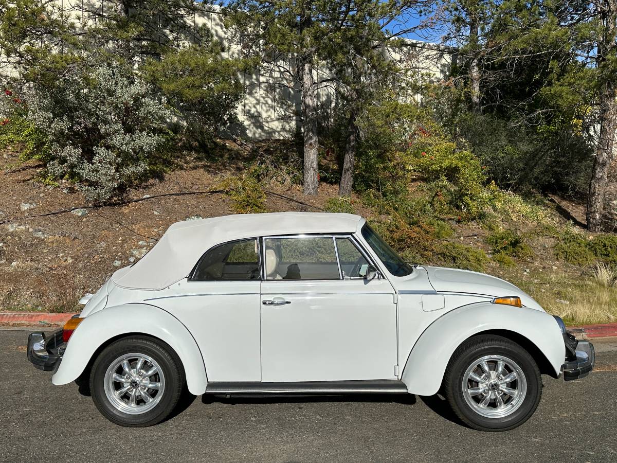 Volkswagen-Beetle-convertible-1977-125529-7