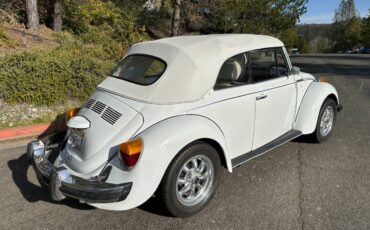 Volkswagen-Beetle-convertible-1977-125529-8