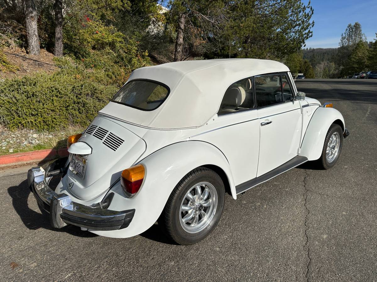 Volkswagen-Beetle-convertible-1977-125529-8