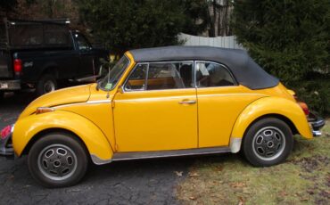 Volkswagen-Beetle-convertible-1977-46297-1