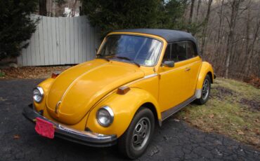 Volkswagen-Beetle-convertible-1977-46297