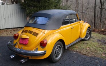 Volkswagen-Beetle-convertible-1977-46297-4