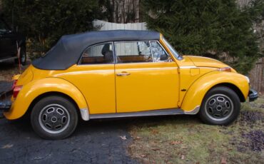 Volkswagen-Beetle-convertible-1977-46297-6