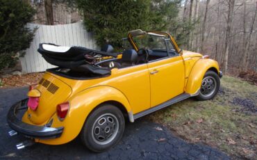 Volkswagen-Beetle-convertible-1977-46297-9