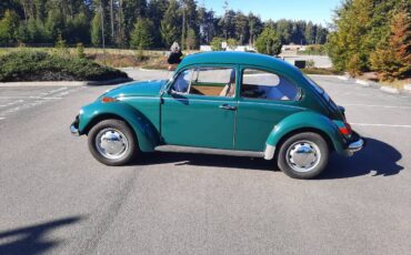 Volkswagen-Bug-1971-green-146434-1