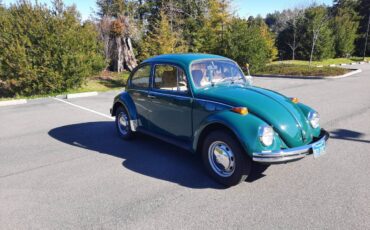 Volkswagen-Bug-1971-green-146434