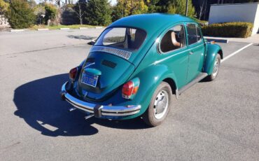 Volkswagen-Bug-1971-green-146434-8