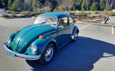 Volkswagen-Bug-1971-green-146434-9