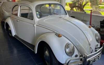 Volkswagen Other  1959 à vendre