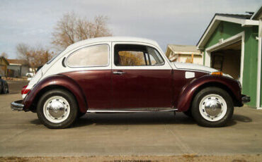 Volkswagen-Super-Beetle-Coupe-1972-Red-Red-150627-8