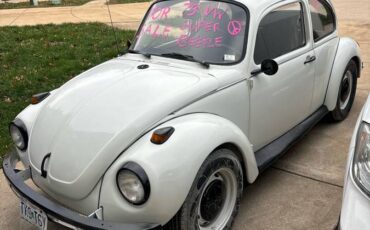 Volkswagen-Super-beetle-1973-white-152887-18