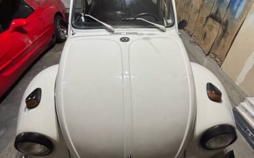 Volkswagen-Super-beetle-1973-white-152887-20